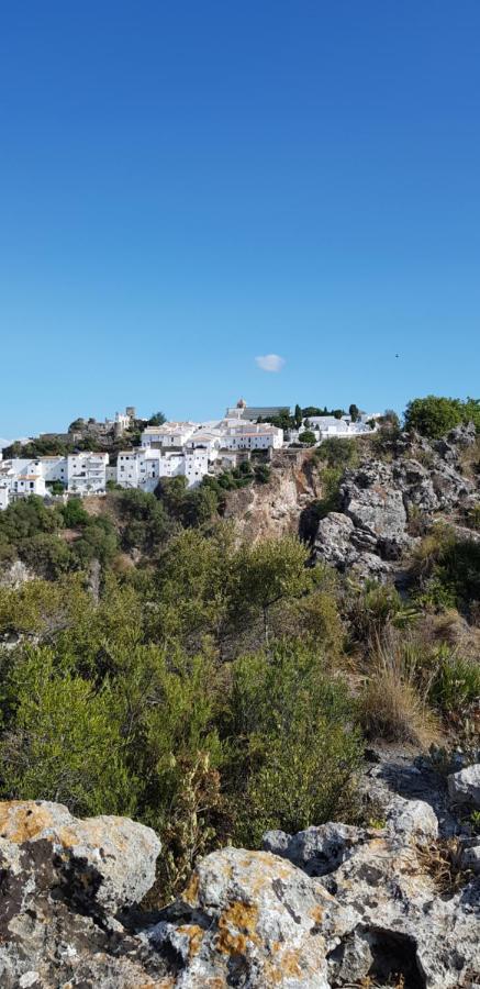 Puerto Естепона Екстер'єр фото